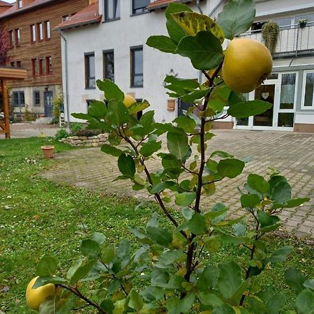 Ferienwohnung Antik Гота Екстериор снимка