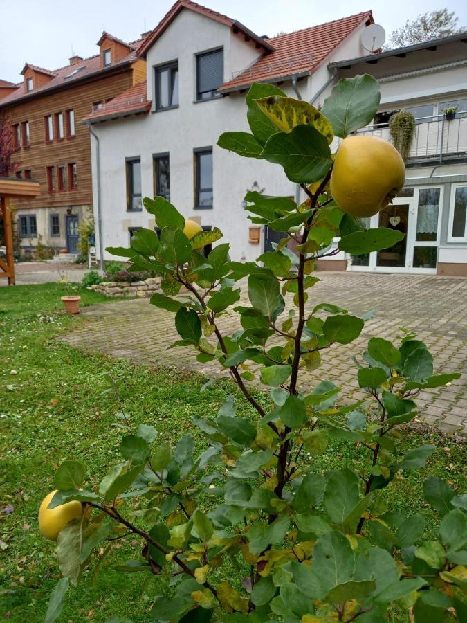 Ferienwohnung Antik Гота Екстериор снимка